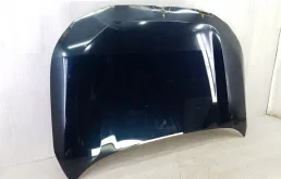 Капот для Toyota RAV4 2024 года на фотографиях