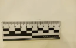 Дверь задняя правая для Mercedes-Benz S class 1999 года на фотографиях