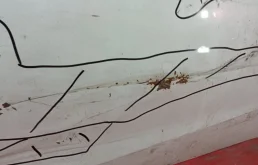 Дверь передняя левая для Kia Cerato 2012 года на фотографиях