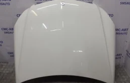 Ноускат для Mercedes-Benz C class 2015 года на фотографиях