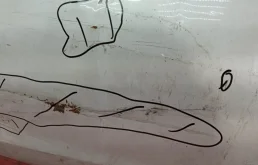 Дверь передняя левая для Kia Cerato 2012 года на фотографиях