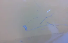 Стекла и зеркала для Nissan Juke 2018 года на фотографиях