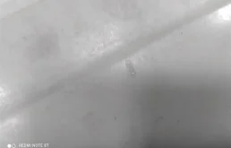 Крыло левое для Audi A6 2009 года на фотографиях