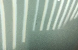 Крылья для BMW 5er 1997 года на фотографиях