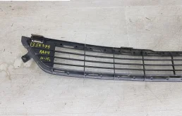 Решетка переднего бампера для Toyota RAV4 2014 года на фотографиях