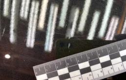 Дверь передняя левая для Mercedes-Benz C class 1996 года на фотографиях