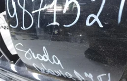 Молдинг решетки радиатора для Skoda Octavia 2018 года на фотографиях