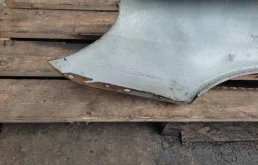 Крылья для Mercedes-Benz S class 2002 года на фотографиях