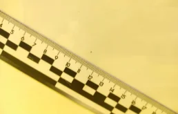 Двери для BMW 5er 2001 года на фотографиях