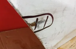 Дверь задняя правая для Kia Cerato 2012 года на фотографиях