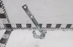 Петля капота левая для Volkswagen Tiguan на фотографиях