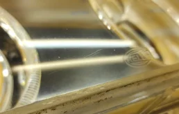 Фара левая для BMW 5er 1996 года на фотографиях