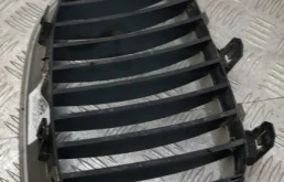 Решетка радиатора для BMW 5er 2009 года на фотографиях