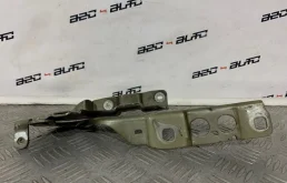 Петля капота левая для Citroen DS4 на фотографиях