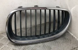 Решетка радиатора для BMW 5er 2009 года на фотографиях