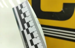 Дверь задняя левая для Mercedes-Benz S class 2000 года на фотографиях