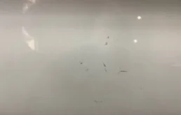 Двери для Citroen DS4 на фотографиях