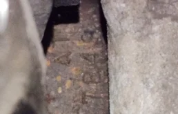 Двигатель без навесного для Mazda MPV 1998 года на фотографиях