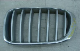 Решетка радиатора для BMW X3 2016 года на фотографиях