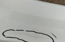 Накладка заднего бампера для Toyota RAV4 2015 года на фотографиях