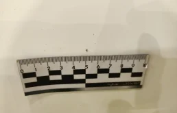 Дверь задняя правая для Mercedes-Benz S class 1999 года на фотографиях