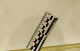 Дверь задняя правая для Mercedes-Benz S class 1999 года на фотографиях