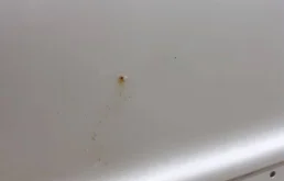 Дверь передняя правая для Mercedes-Benz M class 2000 года на фотографиях