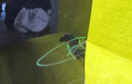 Дверь задняя правая для Mercedes-Benz C class 2019 года на фотографиях