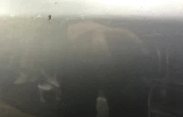 Дверь задняя левая для Citroen C4 2005 года на фотографиях