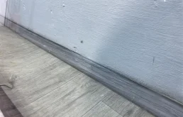 Лобовое (ветровое) стекло для Subaru Forester на фотографиях