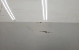 Дверь задняя левая для Audi Q8 на фотографиях