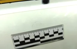 Дверь задняя левая для Mercedes-Benz S class 2000 года на фотографиях