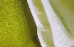 Двери для Nissan Qashqai 2024 года на фотографиях