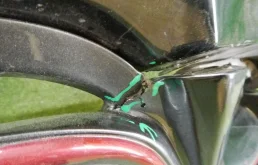 Бампер передний для Nissan Juke 2019 года на фотографиях