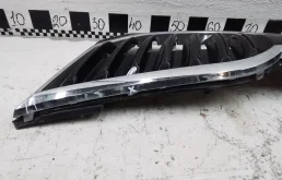 Молдинг решетки радиатора для Skoda Octavia 2018 года на фотографиях