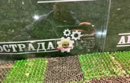 Стекло двери переднее левое для Lexus RX 2009 года на фотографиях