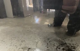 Дверь передняя левая для Citroen C4 2014 года на фотографиях