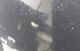 Усилитель переднего бампера для Mercedes-Benz S class 2020 года на фотографиях