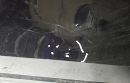 Дверь передняя правая для Audi Q8 на фотографиях