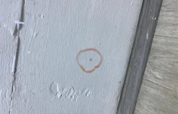 Лобовое (ветровое) стекло для Subaru Forester на фотографиях