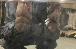 Дверь передняя правая для Citroen DS4 2015 года на фотографиях