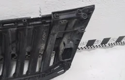 Молдинг решетки радиатора для Skoda Octavia 2018 года на фотографиях