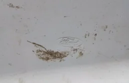 Дверь багажника (створка) правая для Ford Transit 2008 года на фотографиях