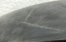 Подкрылок передний правый для Renault Duster 2010 года на фотографиях