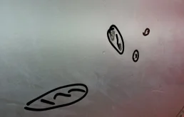 Накладка на дверь задняя правая для Hyundai Solaris 2010 года на фотографиях