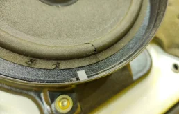 Дверь передняя левая для Mercedes-Benz S class 1999 года на фотографиях