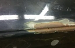 Крышка багажника для Nissan Teana 2006 года на фотографиях