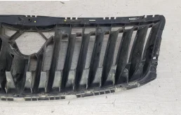 Решетка радиатора для Skoda Octavia 2008 года на фотографиях