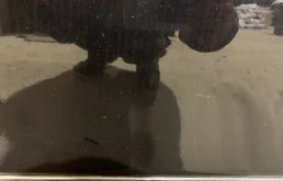 Дверь задняя левая для Volkswagen Passat 2008 года на фотографиях