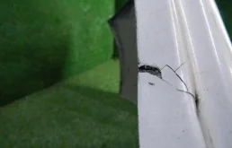 Бампер для Lexus RX 2013 года на фотографиях